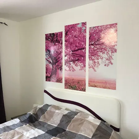 Apartment Bjelasnica * Bjelasnica
